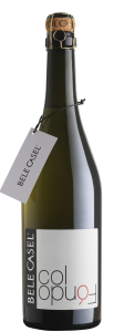 Bele Casel Col Fondo Asolo Prosecco Frizzante Quindici Brut wine wine магазин склад